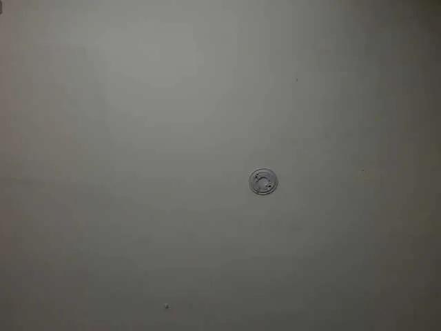 Freechat FernandaX1 on BongaCams