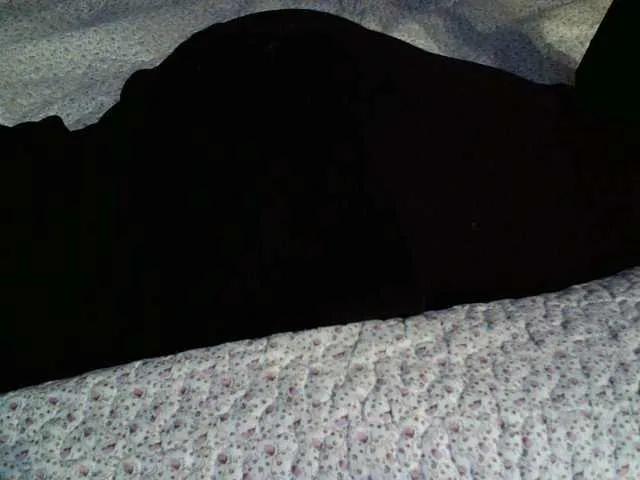 Offline liZAAAZ on BongaCams