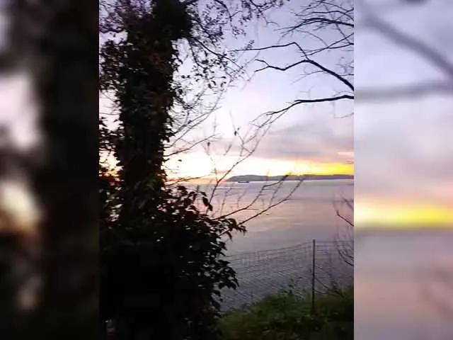 Offline TerriRose on BongaCams