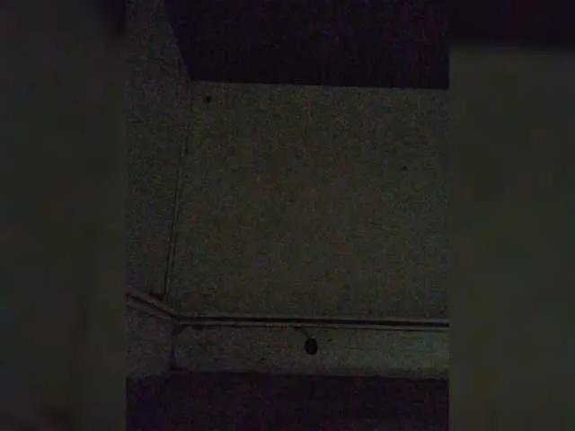 BongaCams TvoiMinet is Freechat TvoiMinet — Freechat on BongaCams