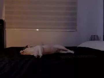 Freechat marstone_ on Chaturbate