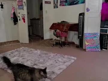 Freechat smokihippi on Chaturbate