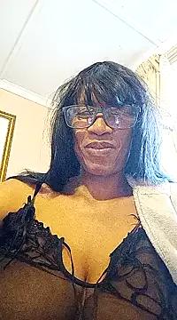 Freechat bustybillies on StripChat