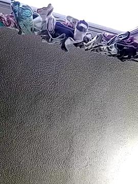 Freechat Fierymichef on StripChat