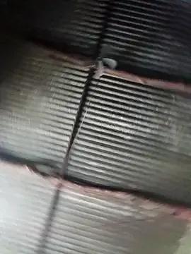 Freechat Haliya88 on StripChat