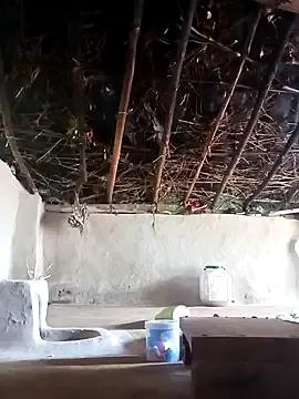 Freechat Haliya88 on StripChat