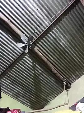 Freechat Haliya88 on StripChat