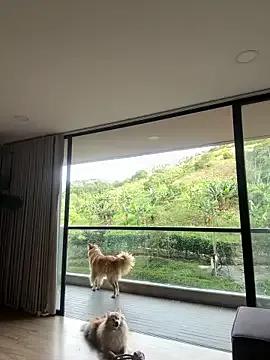 Helenbronwx on StripChat 