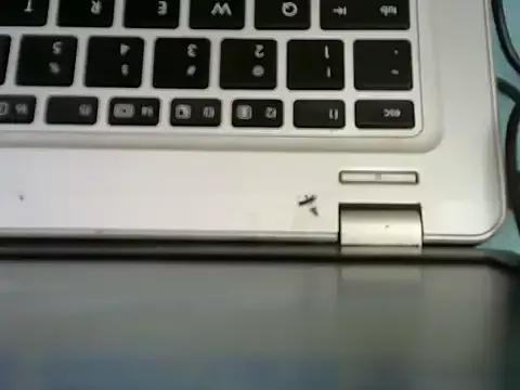 Freechat Nasty_sonnie on StripChat