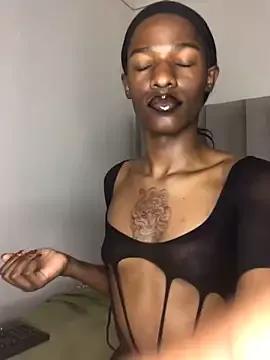 Freechat Trans_fairy on StripChat