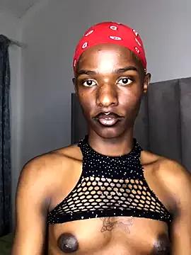 Freechat Trans_fairy on StripChat